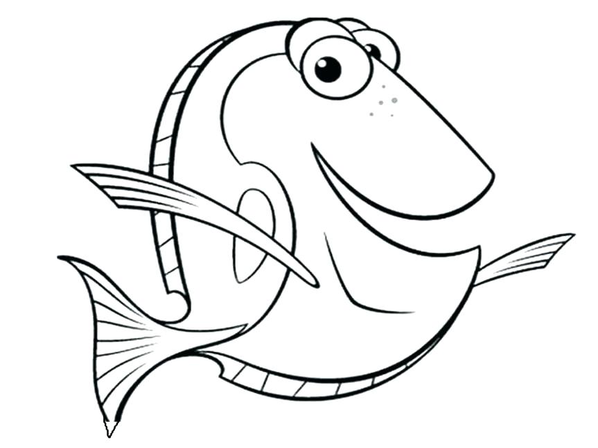 863x647 Free Coloring Pages Of Catfish