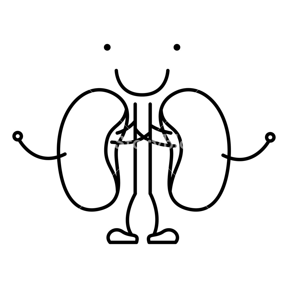 1000x1000 hand drawing contour caricature renal system of human body vector