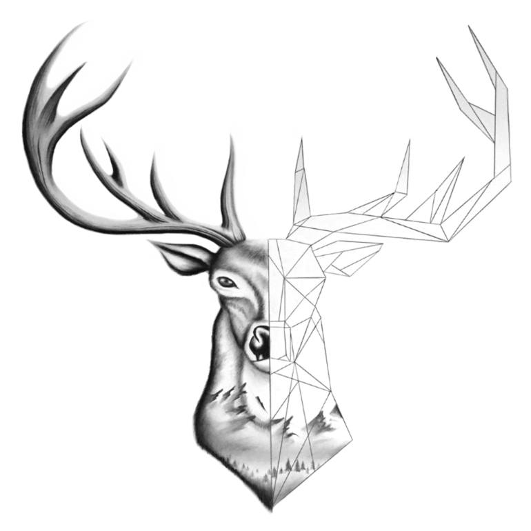 770x770 Oh Deer Drawing