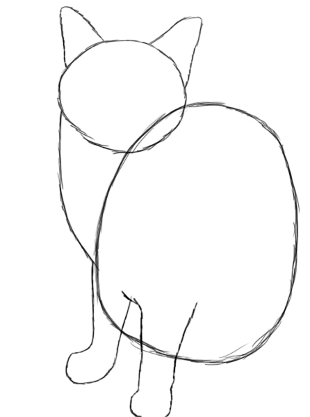 446x599 How To Draw A Cat