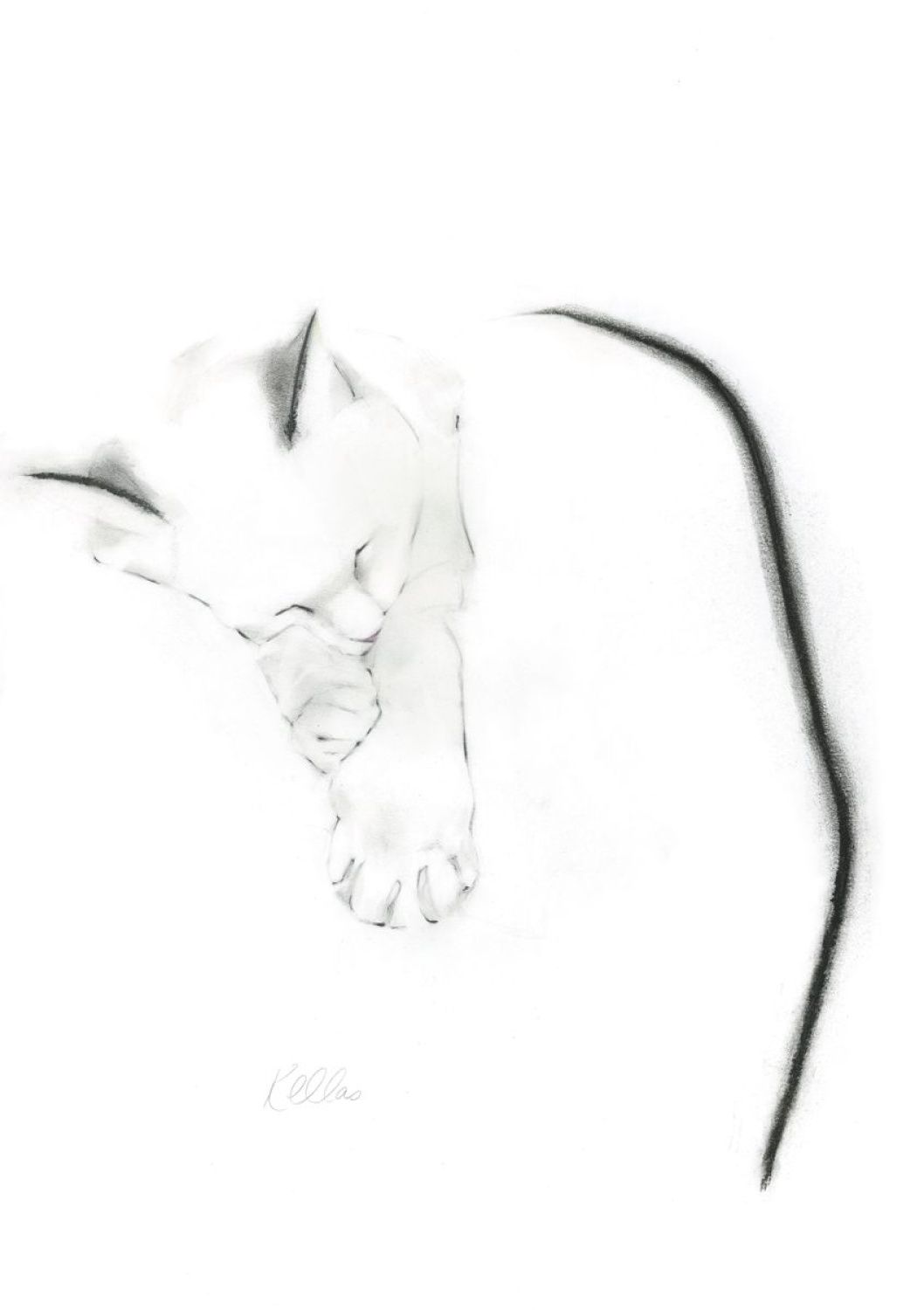 1058x1500 Sleepy Cat Art