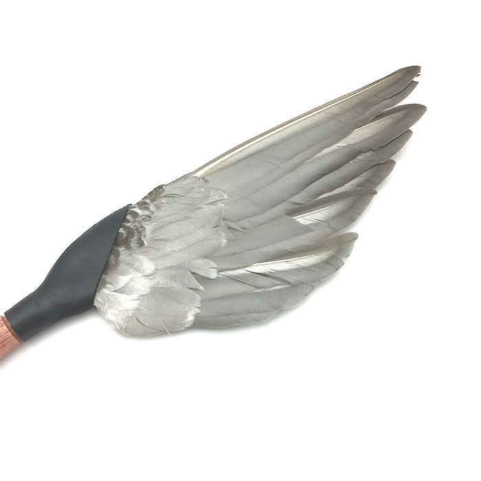 700x700 Usd Comic Cat Drawing Feather Brush Chart Brush Rubber Swarf