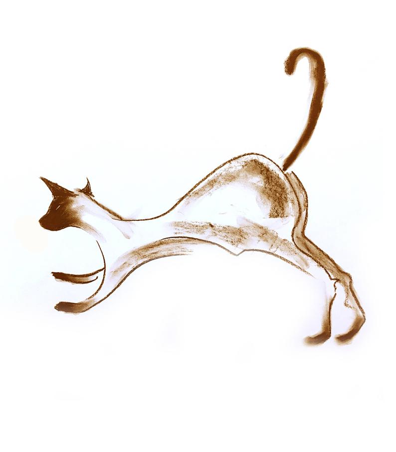 794x907 Cat Siamese Cat Thai Cat Charcoal Sketch Drawing Illustration Etsy