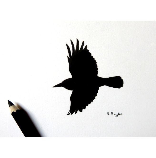 655x665 Original Charcoal Drawing, Crow Rebelsmarket