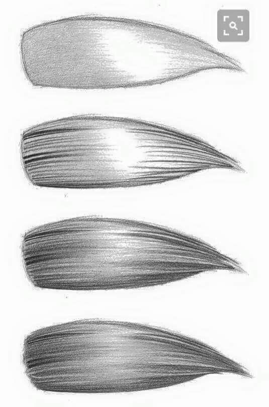 535x808 Drawing How To Draw Hair, Drawings, Pencil