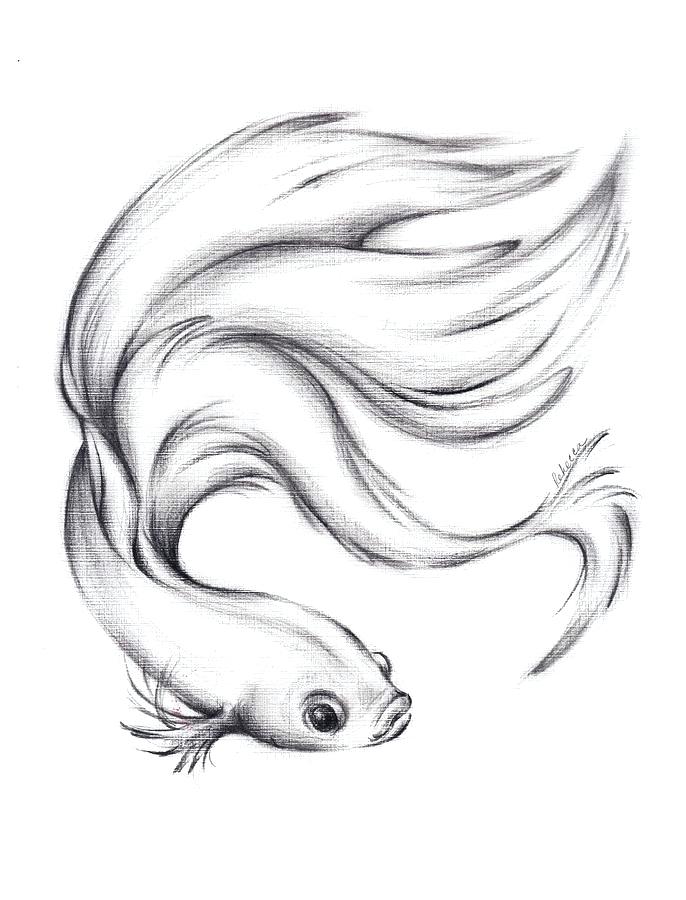 686x900 betta fish drawings fish drawing