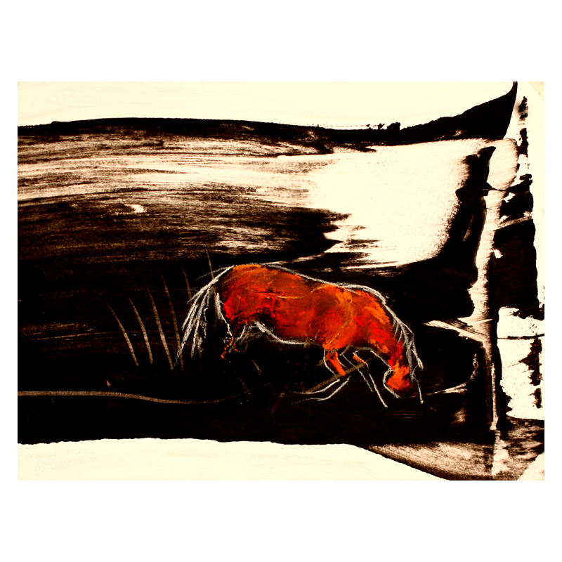 800x800 The Pony In The Field The Pony In The Field