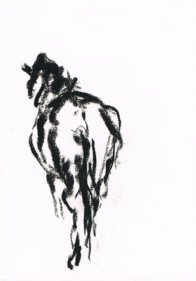 682x975 The World's Best Photos