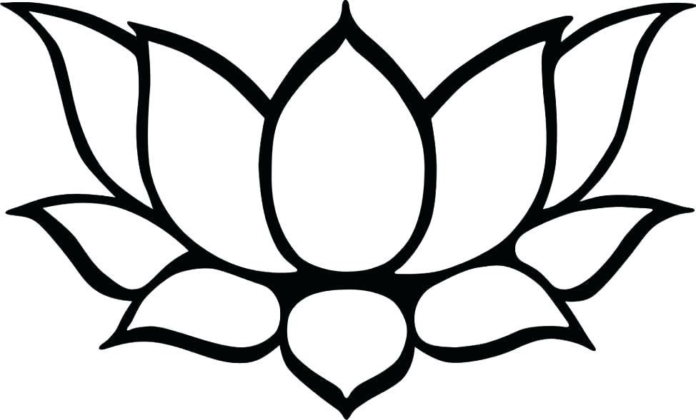 974x589 Simple Sunflower Drawing Drawing A Simple Sunflower How To Draw