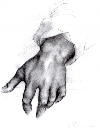 382x500 juliet bishop drawings