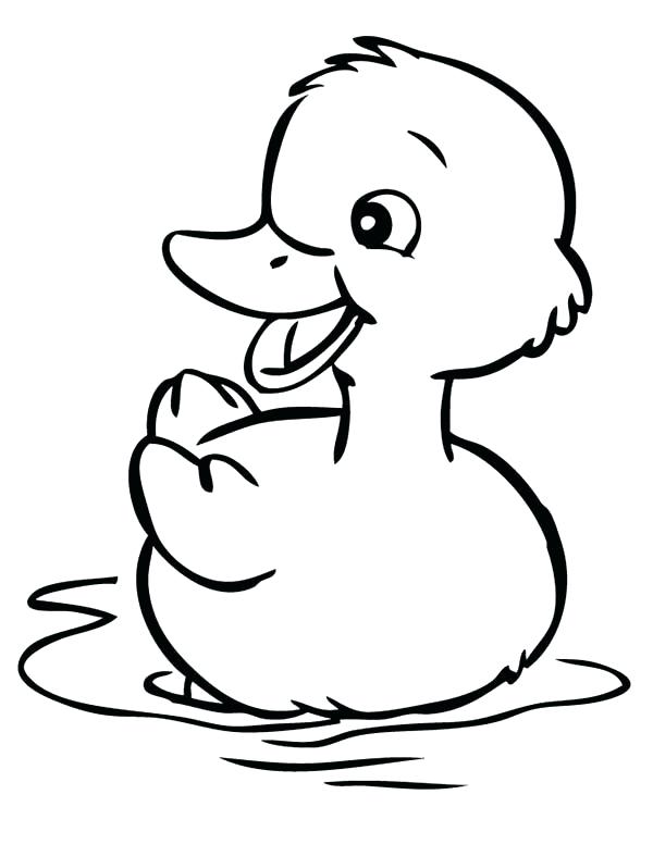 600x776 Easy Ducks To Draw