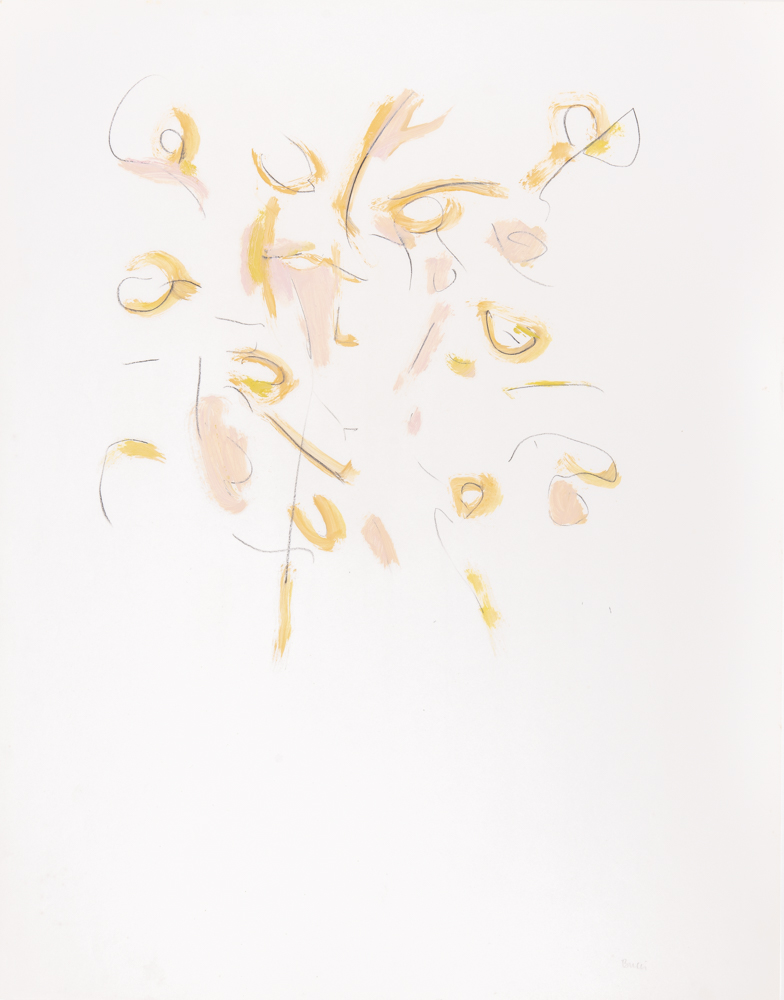 784x1000 browns fine art framing andrew bucci art