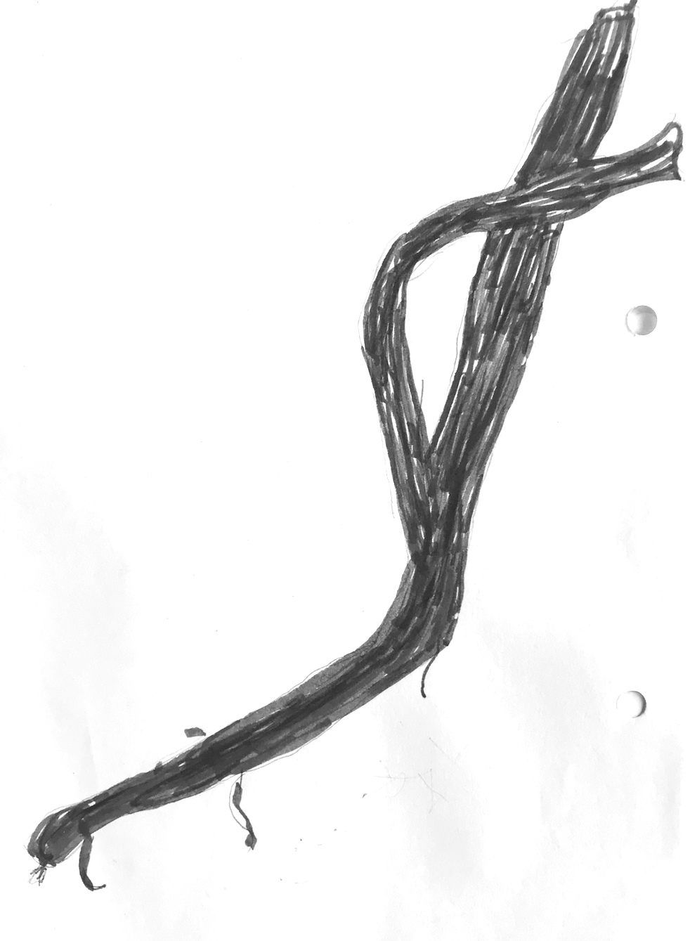 982x1339 Drawn Together