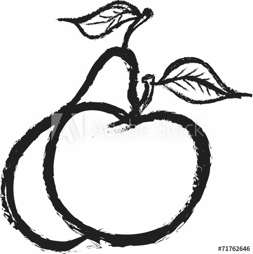 498x500 Doodle Apple And Pear, Charcoal Line Art