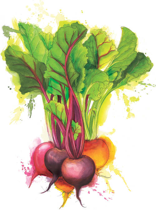 500x692 Georgina Luck