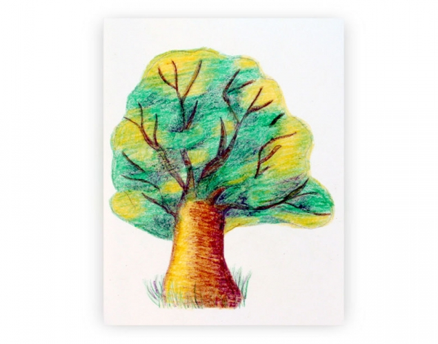 635x500 how to draw a tree with crayons highlights, shadows
