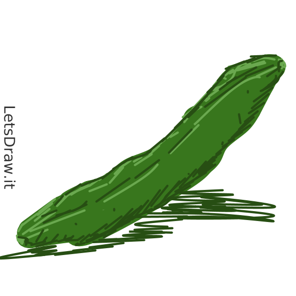 600x600 How To Draw Cucumber