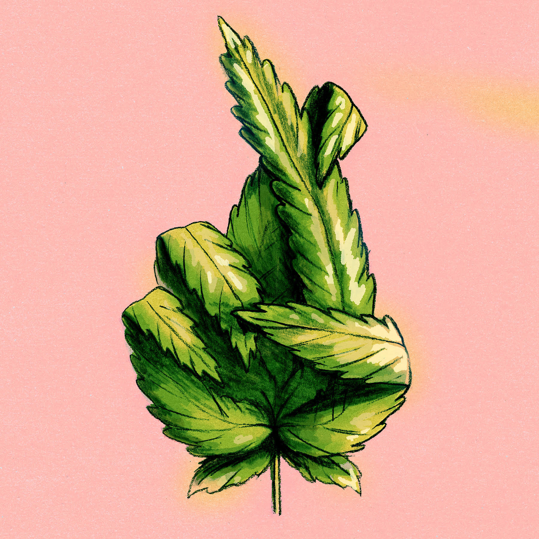 1800x1800 News Calm Usa