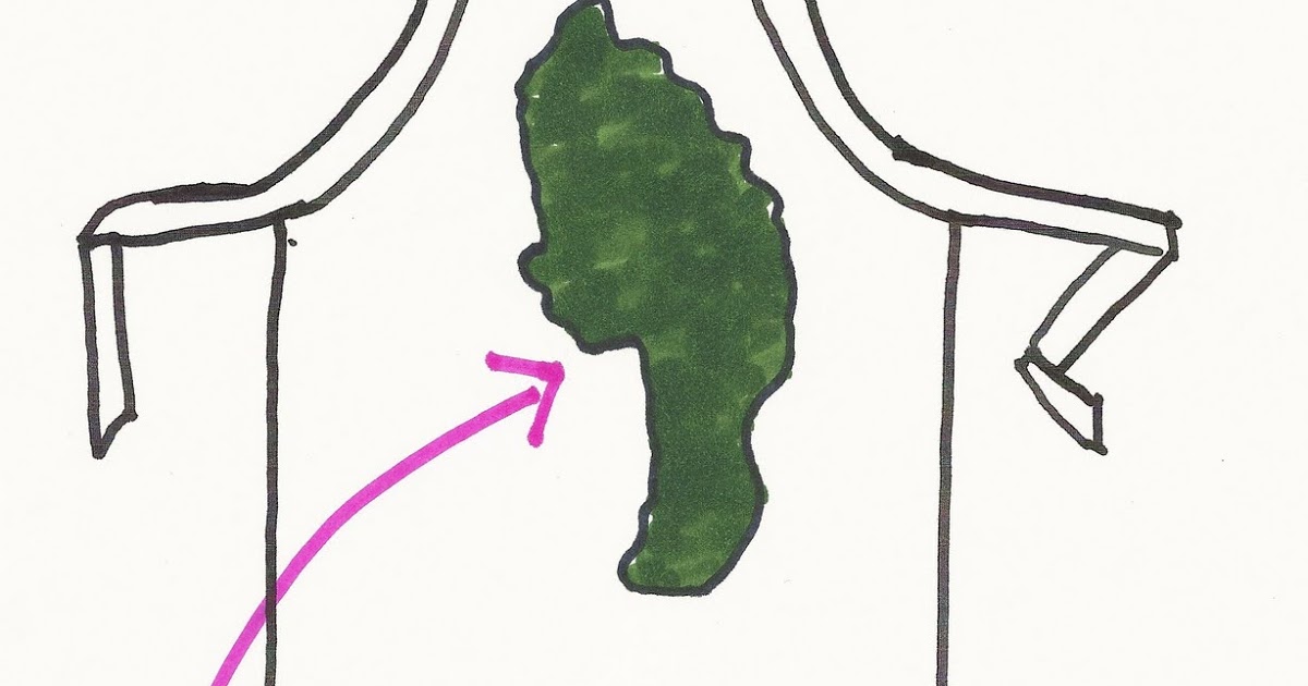 1200x630 The Messy Apron The Taste Of Green Chard Soup