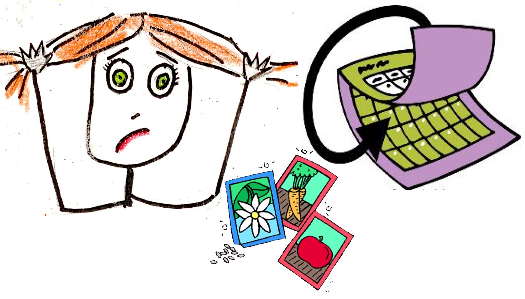 1683x960 When To Sow Swiss Chard Laidback Gardener