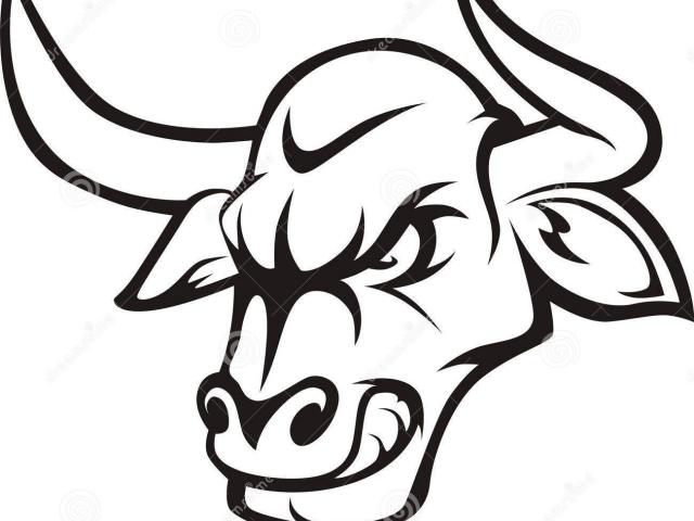640x480 Drawn Bulls
