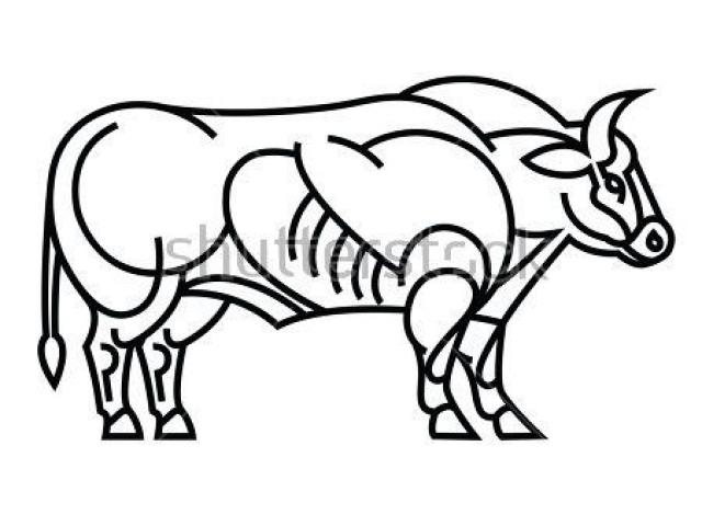 640x480 Free Drawn Bull, Download Free Clip Art