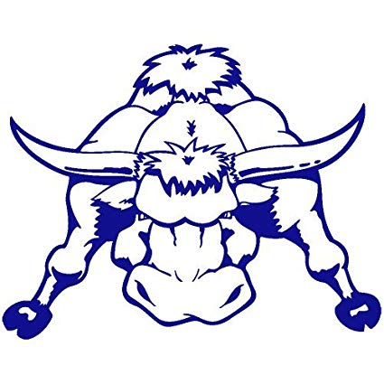 425x425 Charging Bull Decal Sticker