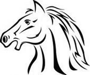 300x250 sunday april monard charity chase d of galway hospice