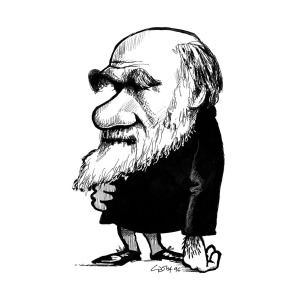 300x300 Charles Darwin, Caricature Photograph
