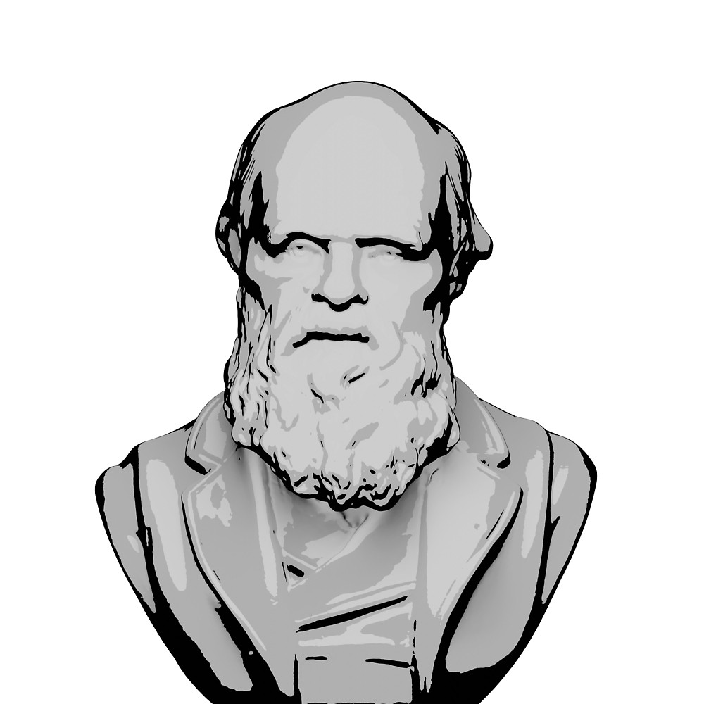 1000x1000 charles darwin bust