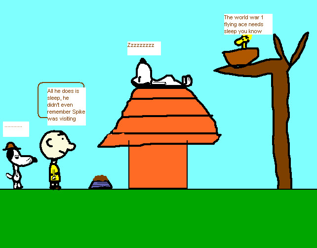 642x502 Charlie Brown Drawing