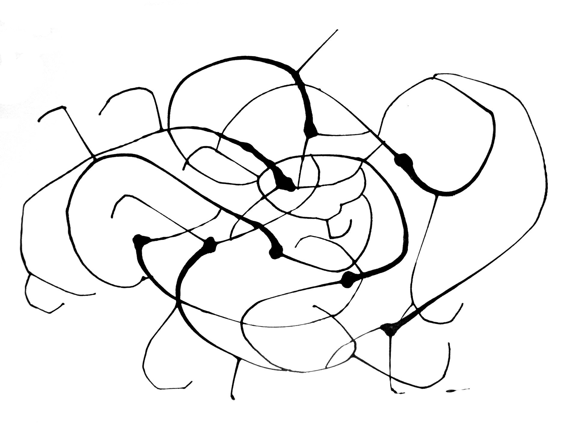 1920x1431 axle matthew chase daniel