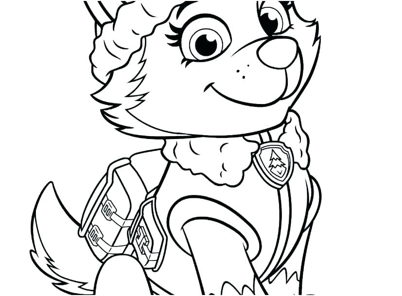 827x609 Marshall Paw Patrol Coloring Pages