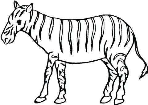 480x341 Coloring Pages Online Unblocked For Kids Animals Games Cheetah Cub