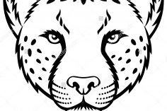 236x157 Easy Cheetah Drawing Colour Cartoon Steps A Head Photos Carmi