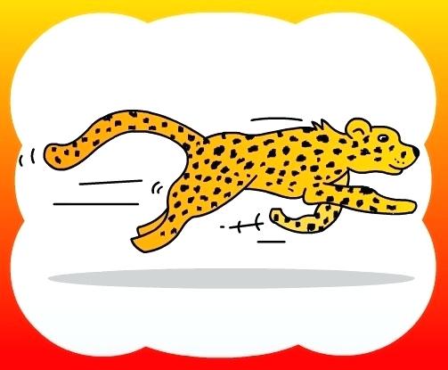503x415 cheetah drawing for kids nip
