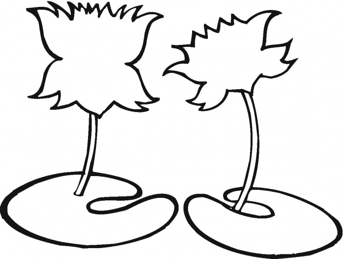 695x525 Cheetah Cub Drawing