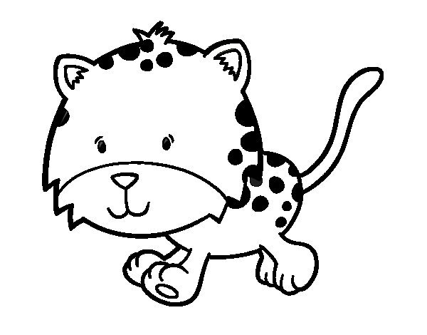 600x470 running cheetah coloring pages cheetah coloring