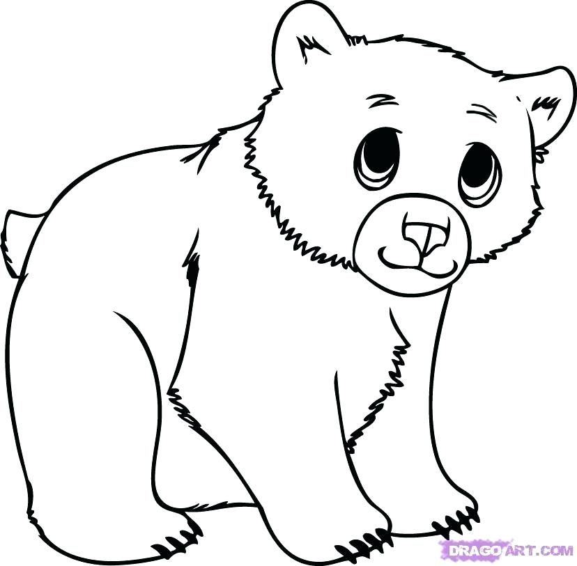 828x813 Bear Cub Drawing How To Draw For Beginners Bear Cub Line Drawing