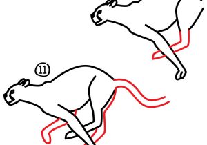 300x210 Cheetah Drawing Step