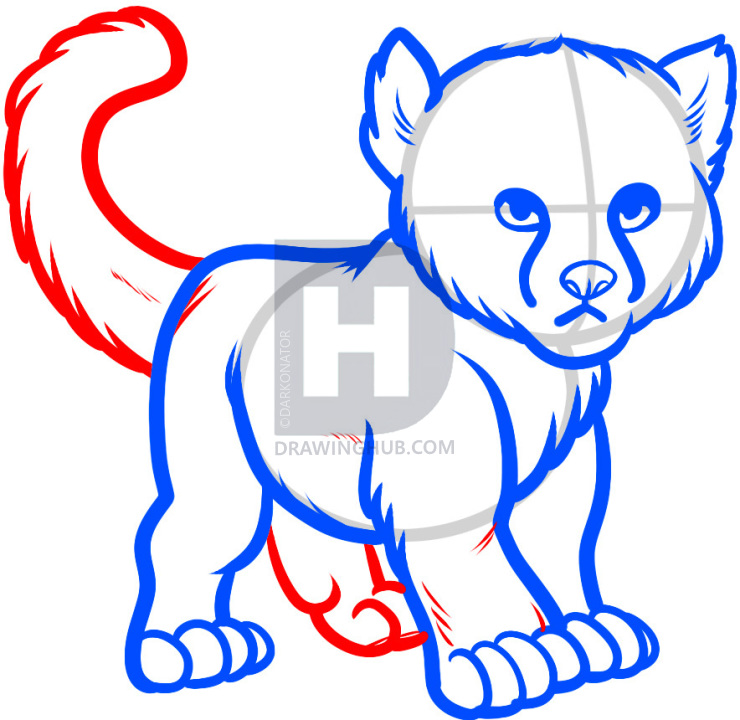 740x720 how to draw a baby cheetah, baby cheetah, step