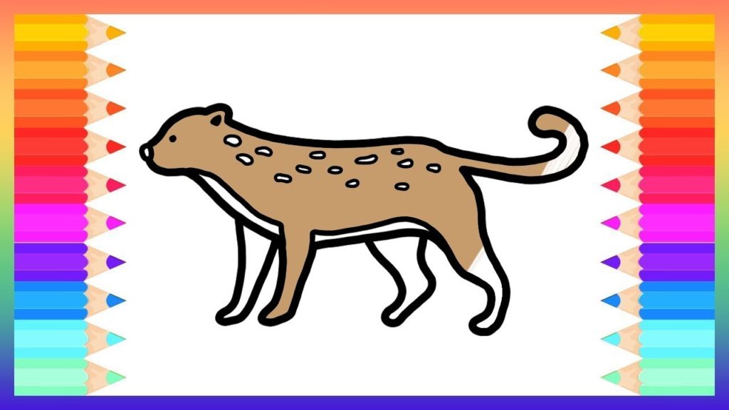 1024x576 How To Draw Cheetah For Baby Drawings And Coloring Book Rainbow