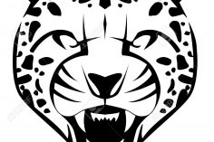 236x157 Cheetah Drawing Realistic Step