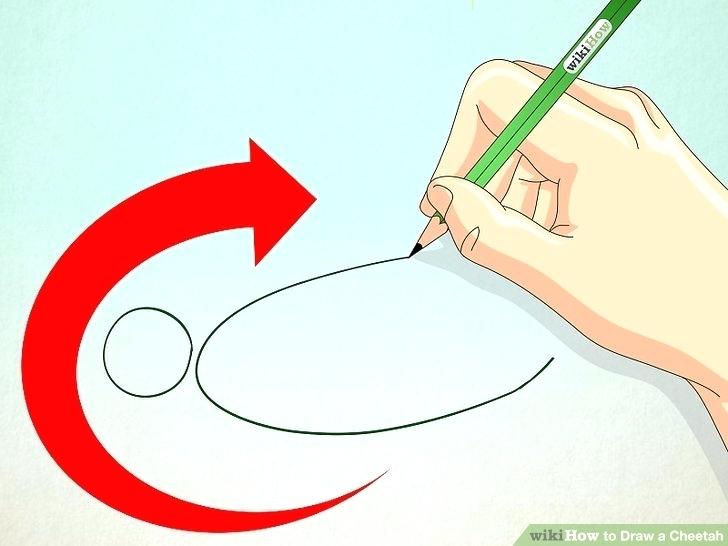 728x546 how to draw a chetah draw cheetah easy steps to draw cheetah