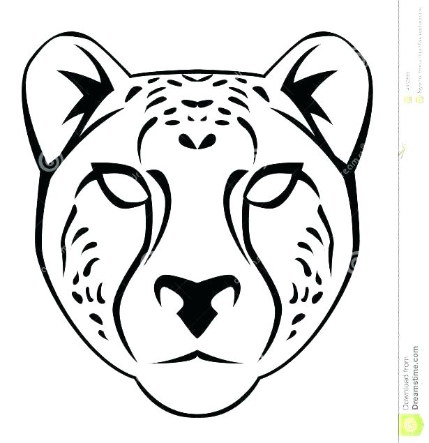 615x635 Drawn Cheetah Myrta