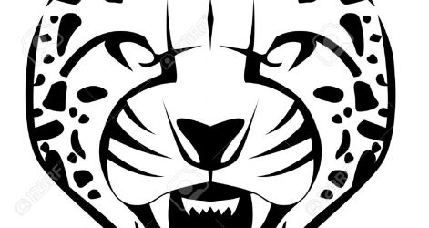 471x250 Cheetah Drawing Realistic Step