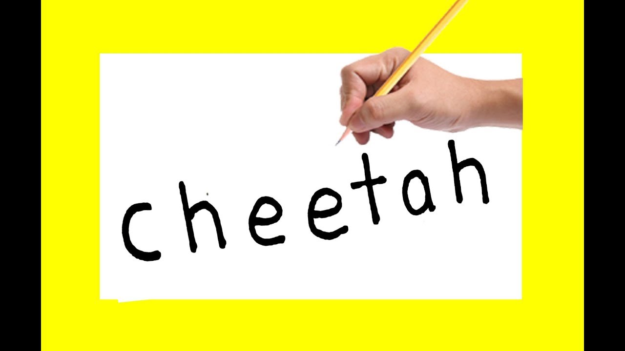 1280x720 how to draw a cheetah using the same words cheetah in to cartoon