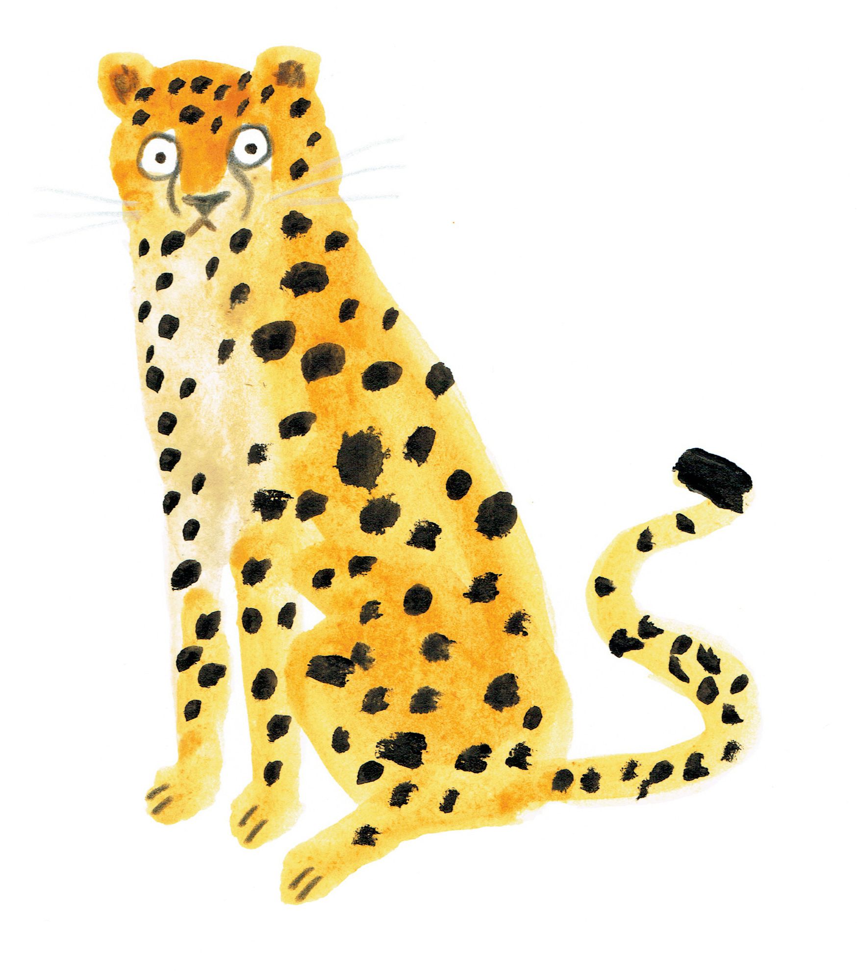 1748x1980 Cheetah, Leopard Art In Illustration