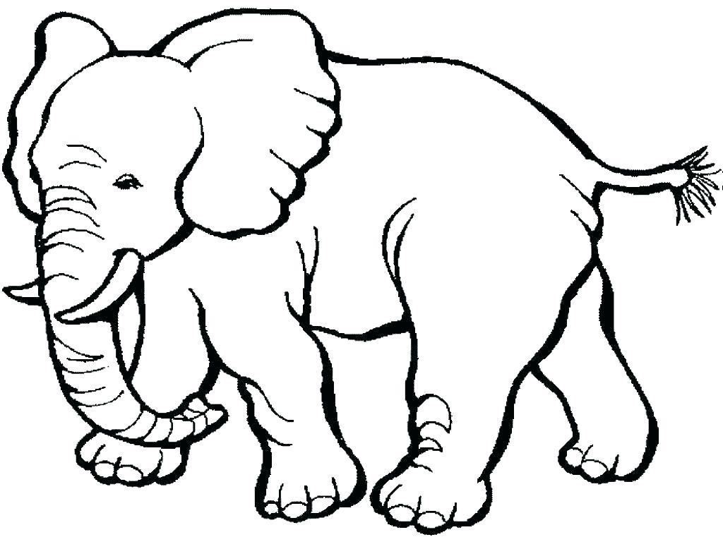 1024x761 cheetah animal coloring pages animal coloring pages online cheetah