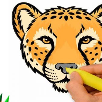 336x336 Cheetah Drawing Realistic Step